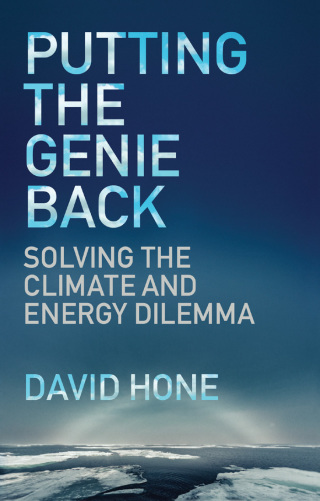 Cover image: Putting the Genie Back 9781787144484