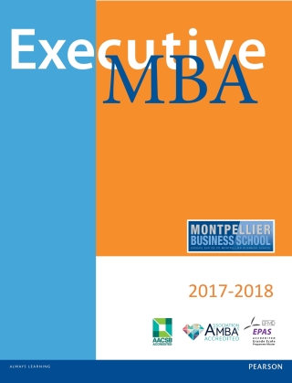 صورة الغلاف: Executive MBA 1st edition 9781787263017