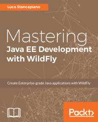 Cover image: Mastering Java EE Development with WildFly 1st edition 9781787287174