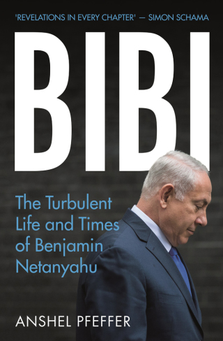 Cover image: Bibi 9781787384293
