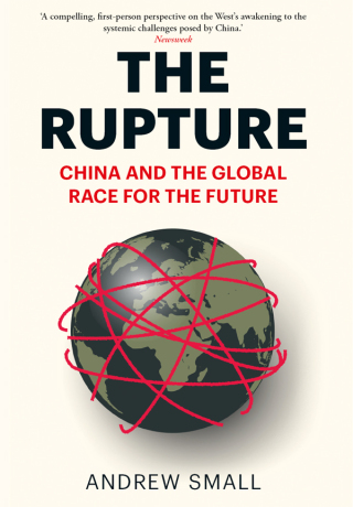 Cover image: The Rupture 9781787387782