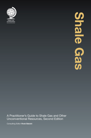 Cover image: Shale Gas 2nd edition 9781787420632