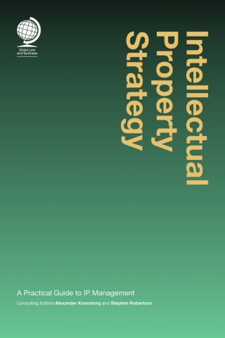 Cover image: Intellectual Property Strategy 1st edition 9781911078074