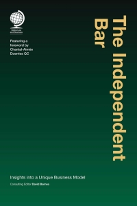 Cover image: The Independent Bar 1st edition 9781787420915