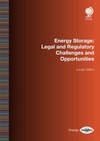 صورة الغلاف: Energy Storage 1st edition 9781787422704