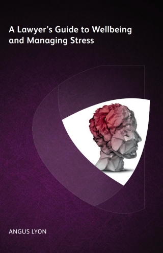 表紙画像: A Lawyer's Guide to Wellbeing and Managing Stress 1st edition 9781783582211