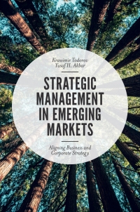 表紙画像: Strategic Management in Emerging Markets 9781787541665