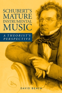 Titelbild: Schubert's Mature Instrumental Music 1st edition 9781580465922