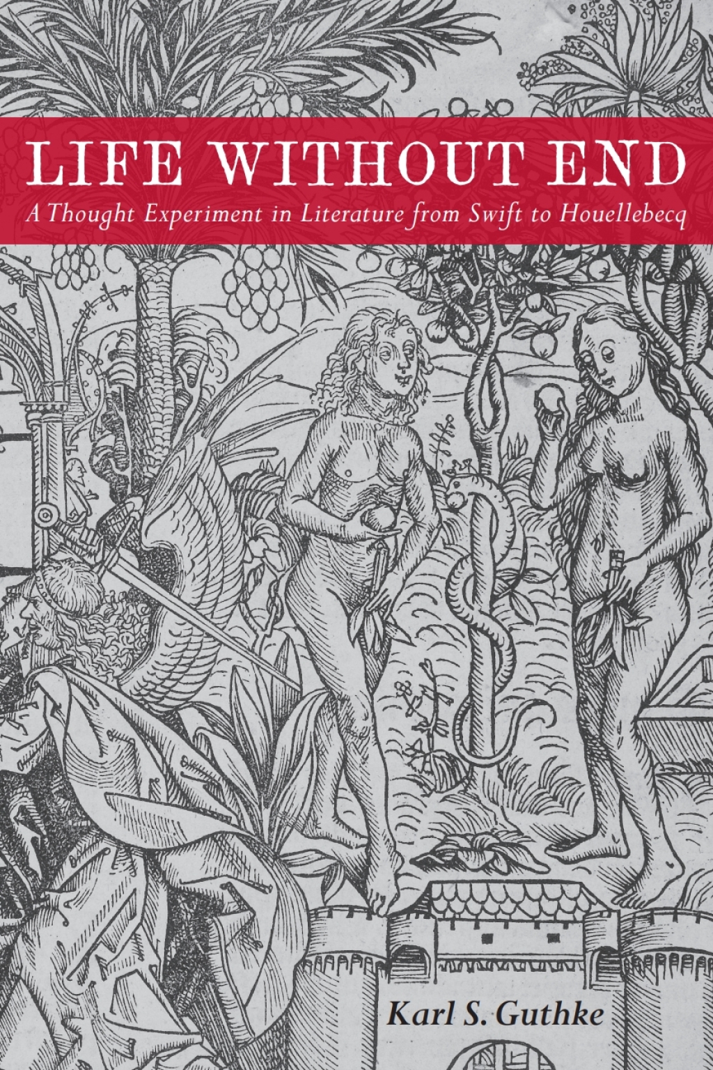 Life without End A Thought Experiment in Literature from Swift to Houellebecq 1st Edition