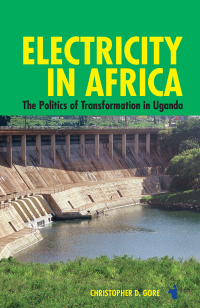 Cover image: Electricity in Africa 1st edition 9781847011695