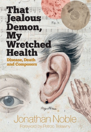 Cover image: That Jealous Demon, My Wretched Health 1st edition 9781783272587