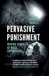 Imagen de portada: Pervasive Punishment 9781787564664