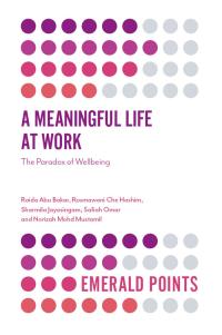 Cover image: A Meaningful Life at Work 9781787567702