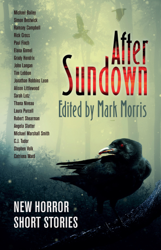 Cover image: After Sundown 9781787584556