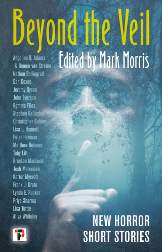 Cover image: Beyond the Veil