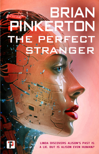 Cover image: The Perfect Stranger