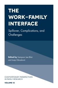 صورة الغلاف: The Work-Family Interface 9781787691124