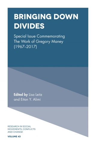 Imagen de portada: Bringing Down Divides 9781787694064