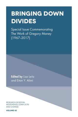 Cover image: Bringing Down Divides 9781787694064