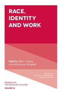 Cover image: Race, Identity and Work 9781787695023