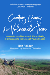 Cover image: Creating Change for Vulnerable Teens 9781787755369