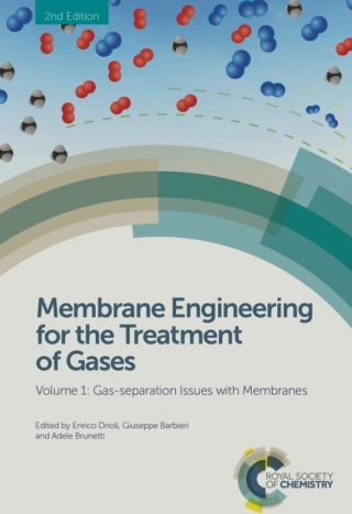 Immagine di copertina: Membrane Engineering for the Treatment of Gases 2nd edition 9781782628743