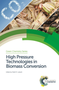 Immagine di copertina: High Pressure Technologies in Biomass Conversion 1st edition 9781782624851