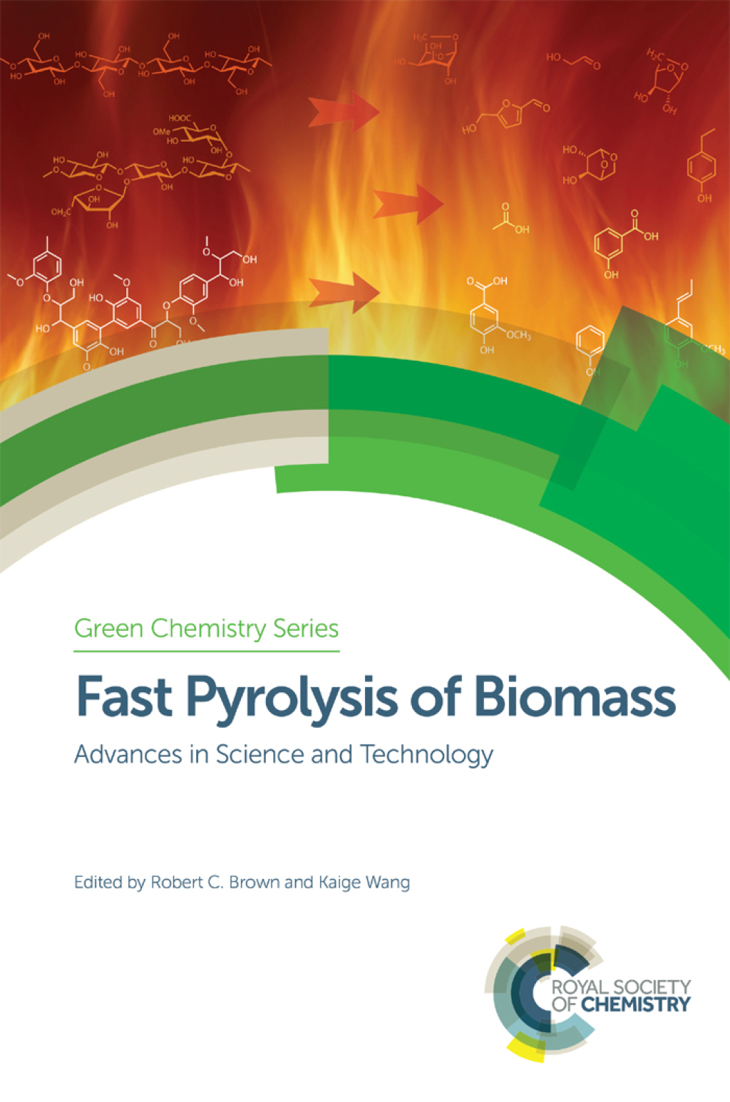 Fast Pyrolysis of Biomass Advances in Science and Technology 1st Edition