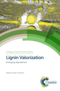 Cover image: Lignin Valorization 1st edition 9781782625544
