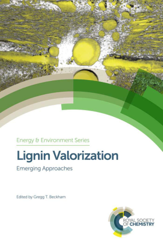Cover image: Lignin Valorization 1st edition 9781788010351
