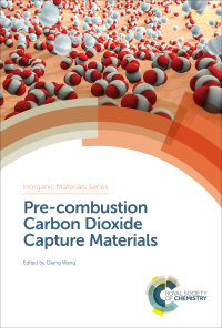Titelbild: Pre-combustion Carbon Dioxide Capture Materials 1st edition 9781788011082