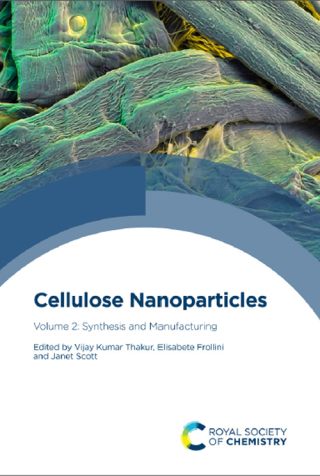 Imagen de portada: Cellulose Nanoparticles 1st edition 9781788019545