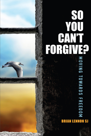Cover image: So You Can't Forgive 9781910248775