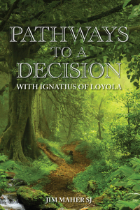 Cover image: Pathways to a Decision 9781788122702