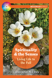 Titelbild: Spirituality and the Senses 9781788122924