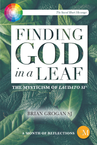 Cover image: Finding God in a Leaf 9781788123914