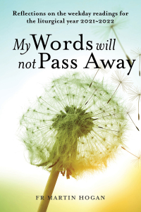 Omslagafbeelding: My Words Will Not Pass Away 9781788125024