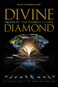 Cover image: Divine Diamond 9781788125154