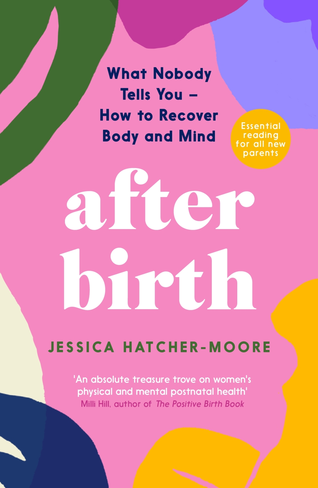 After Birth What Nobody Tells You – How to Recover Body and Mind