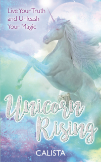 Cover image: Unicorn Rising 9781788170918