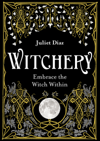 Cover image: Witchery 9781788172042