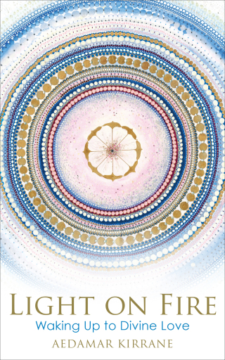 Cover image: Light on Fire 9781401961220