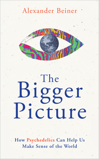 Cover image: The Bigger Picture 9781401971892