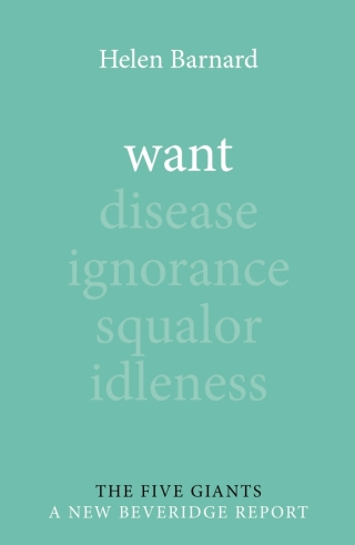 صورة الغلاف: Want 9781788213974