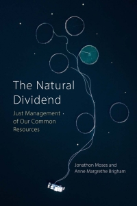 Titelbild: The Natural Dividend 9781788214407