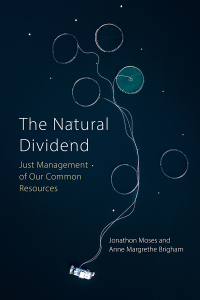 Cover image: The Natural Dividend 9781788214407