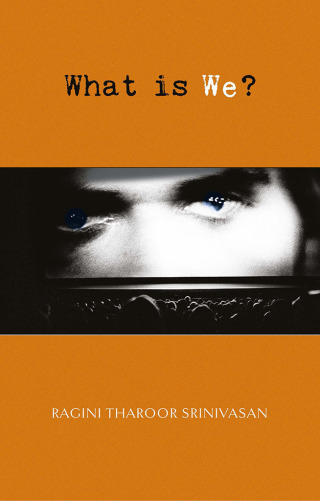 Immagine di copertina: What is We? 9781788218375