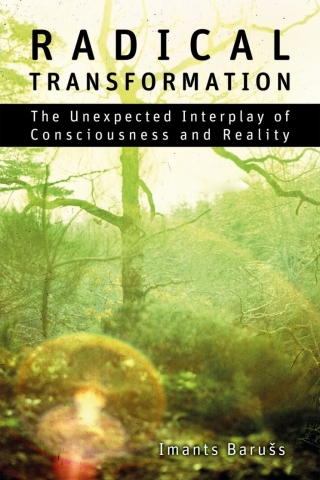Immagine di copertina: Radical Transformation 1st edition 9781788360418
