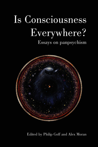 表紙画像: Is Consciousness Everywhere? 1st edition 9781788360876
