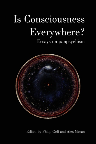 Cover image: Is Consciousness Everywhere? 1st edition 9781788360876